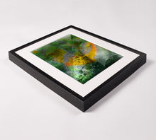 Load image into Gallery viewer, Chameleon
