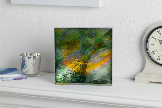 'Chameleon' Art Gift