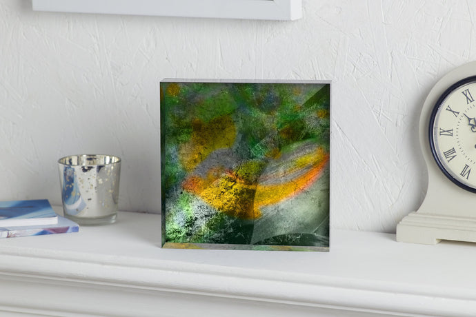 'Chameleon' Art Gift