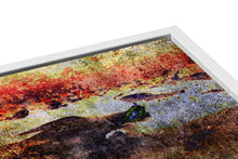 Load image into Gallery viewer, Lullaby of birdland